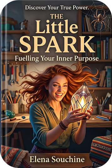 The Little Witches book cover